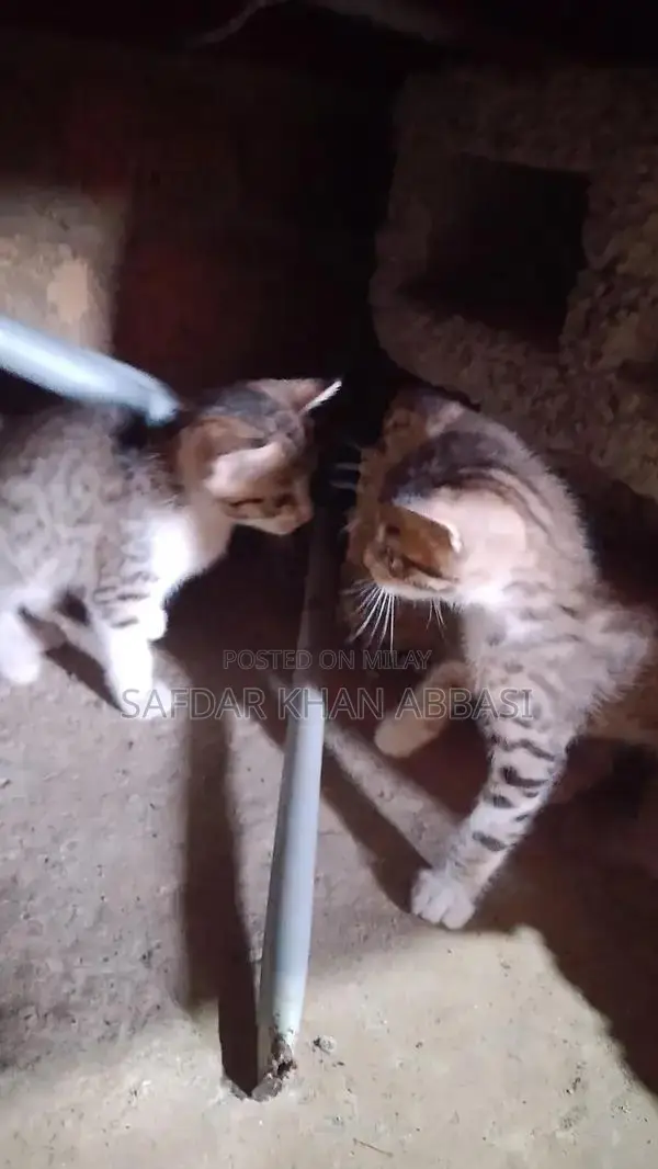 Industrial Contact Line Communication Equipment