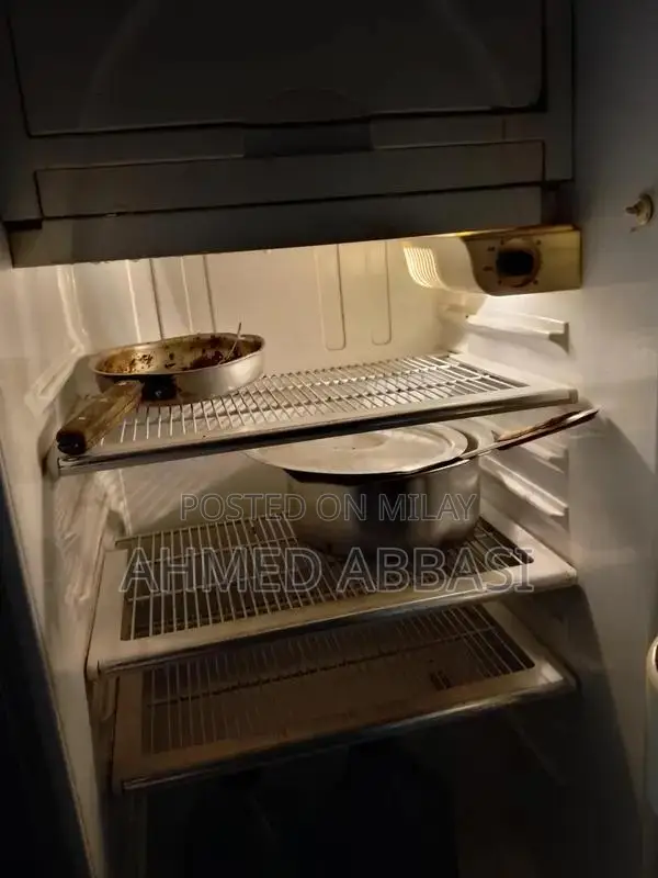 High-Quality Freezer with Advanced Cooling Technology