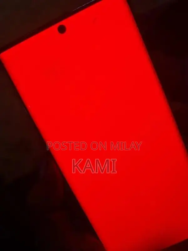 Large Screen Smartphone with High Storage Capacity