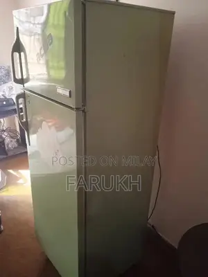 ACMA Indesit 14 Cubic Feet Refrigerator in Light Green