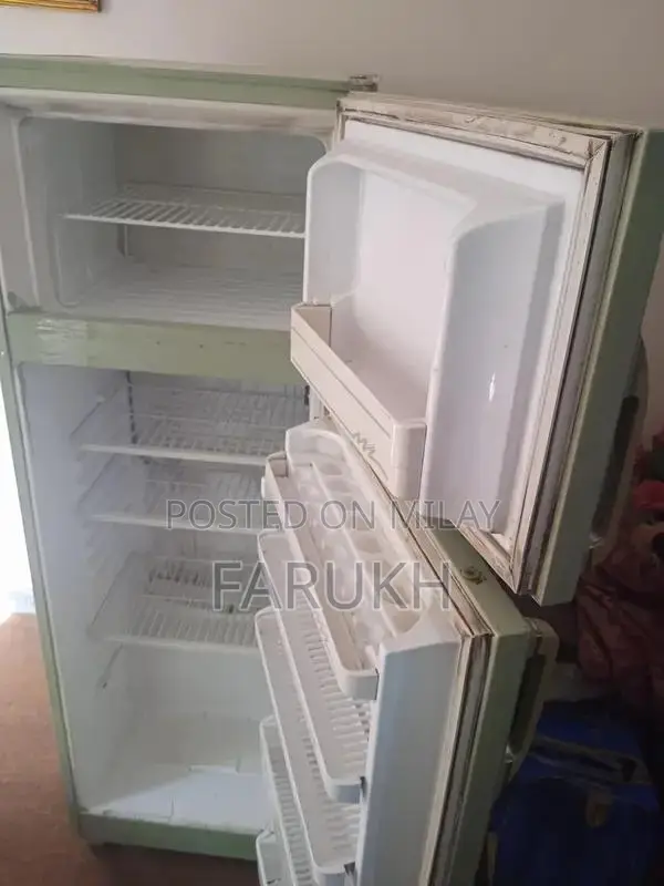 ACMA Indesit 14 Cubic Feet Refrigerator in Light Green