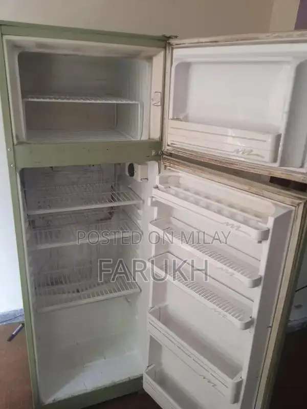 ACMA Indesit 14 Cubic Feet Refrigerator in Light Green