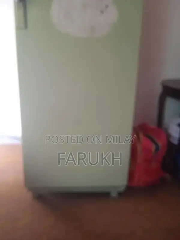 ACMA Indesit 14 Cubic Feet Refrigerator in Light Green