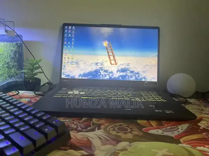 Asus TUF A17 Gaming Laptop with AMD Ryzen and GTX 3050