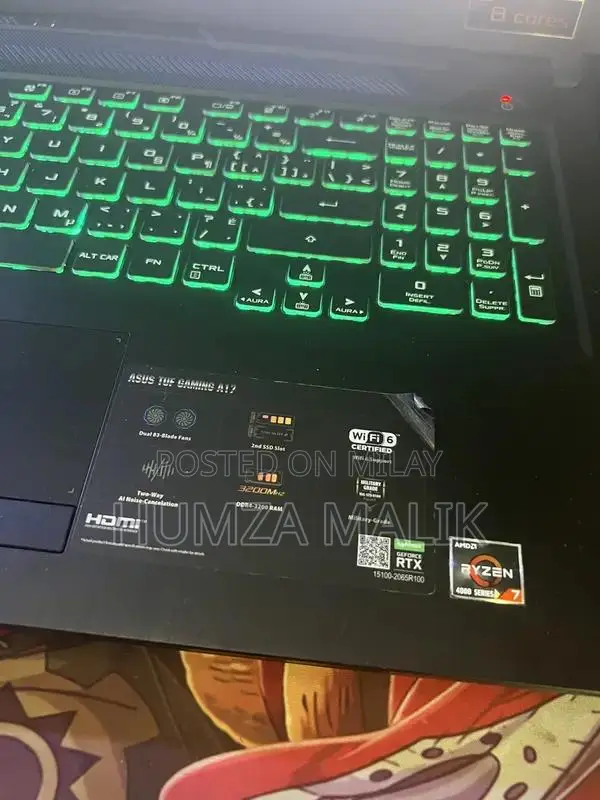 Asus TUF A17 Gaming Laptop with AMD Ryzen and GTX 3050