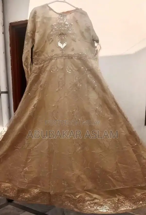 Golden Net Long Maxi Frock Elegant Formal Dress