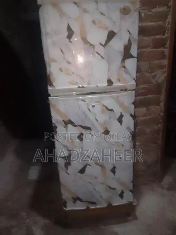 LG Refrigerator - High Performance Cooling Appliance