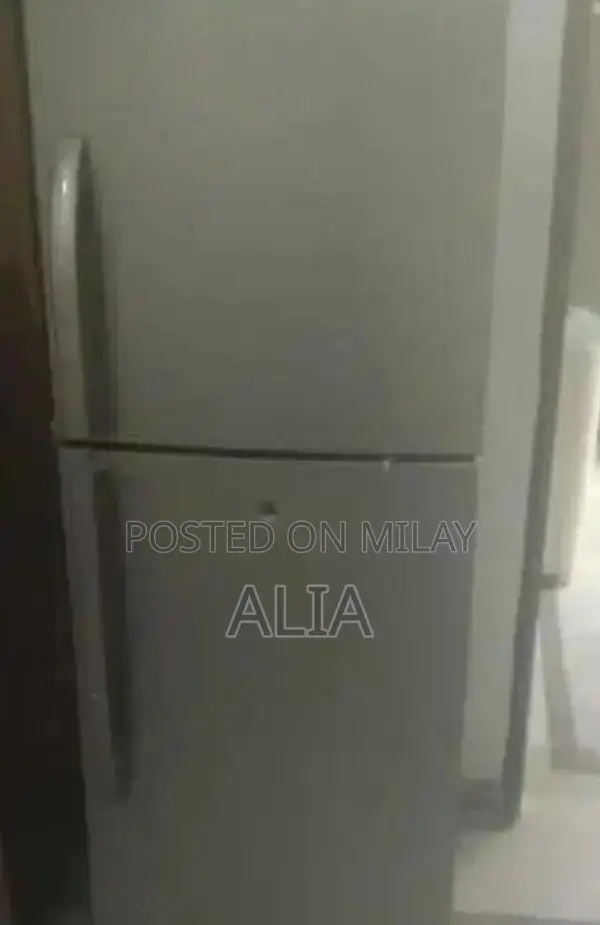 Gray 2-Door Refrigerator - Medium Size Home Appliance