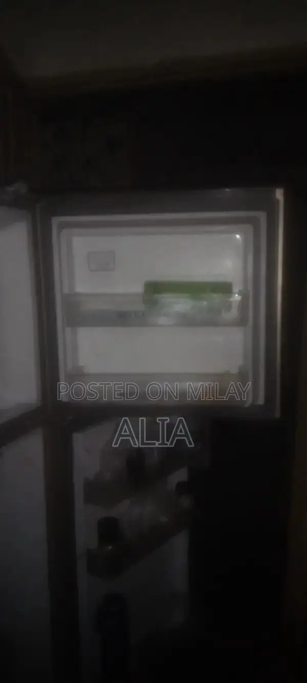 Gray 2-Door Refrigerator - Medium Size Home Appliance