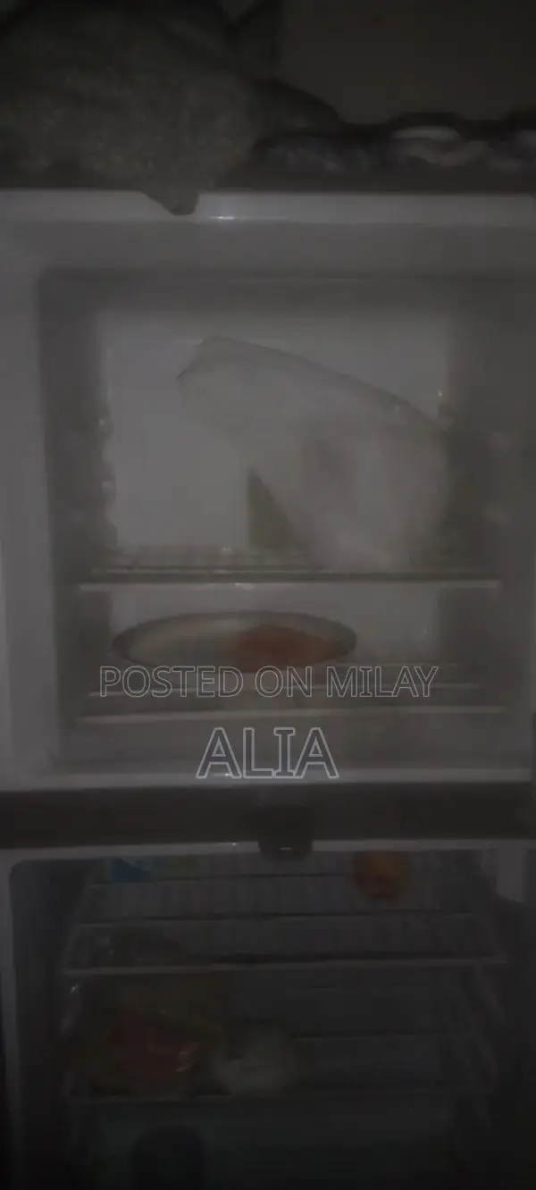 Gray 2-Door Refrigerator - Medium Size Home Appliance