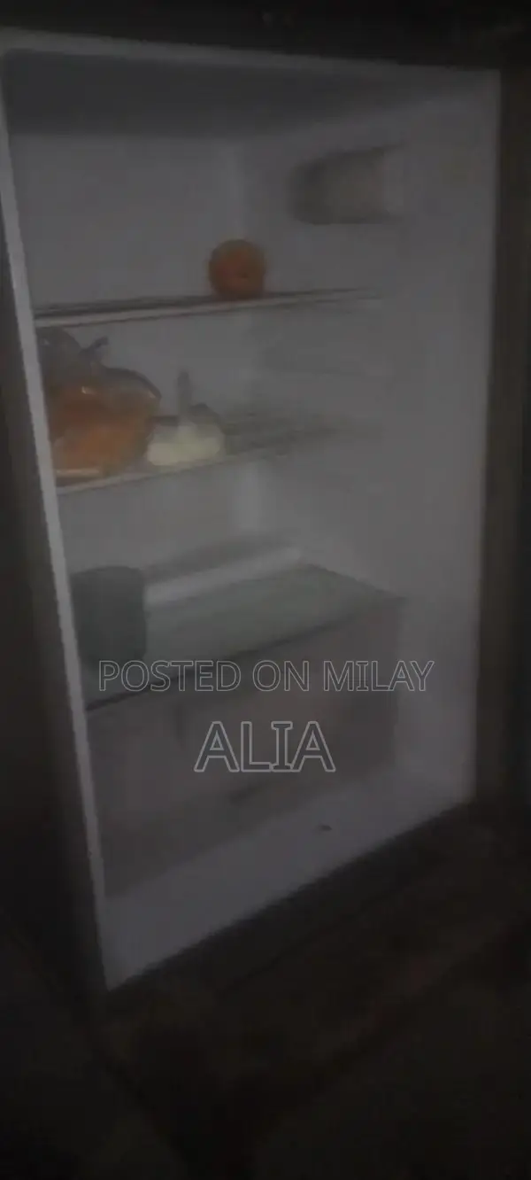 Gray 2-Door Refrigerator - Medium Size Home Appliance