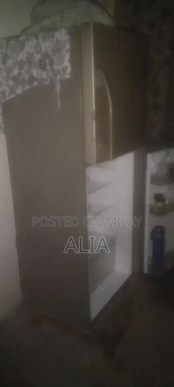 Gray 2-Door Refrigerator - Medium Size Home Appliance