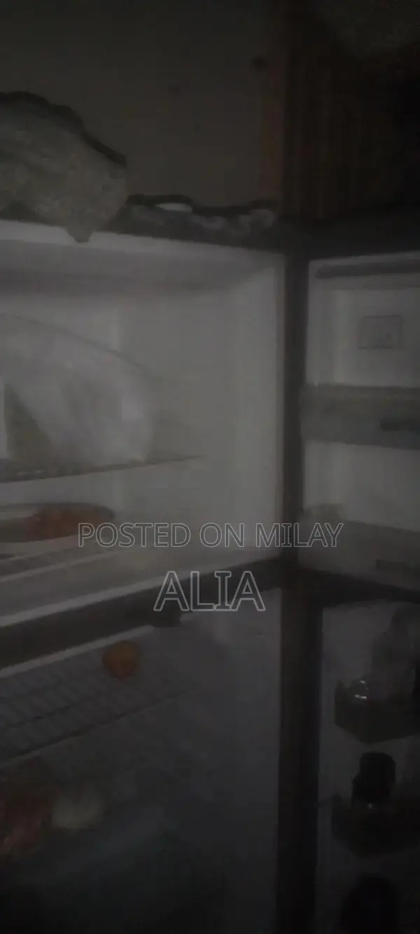 Gray 2-Door Refrigerator - Medium Size Home Appliance