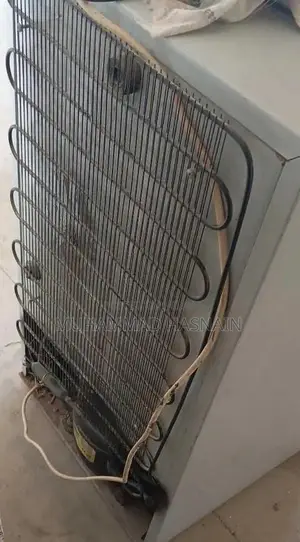 1-Door Mini Refrigerator for Small Spaces