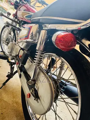 Photo - Antique Electric Bike - Untoched 2020 Model