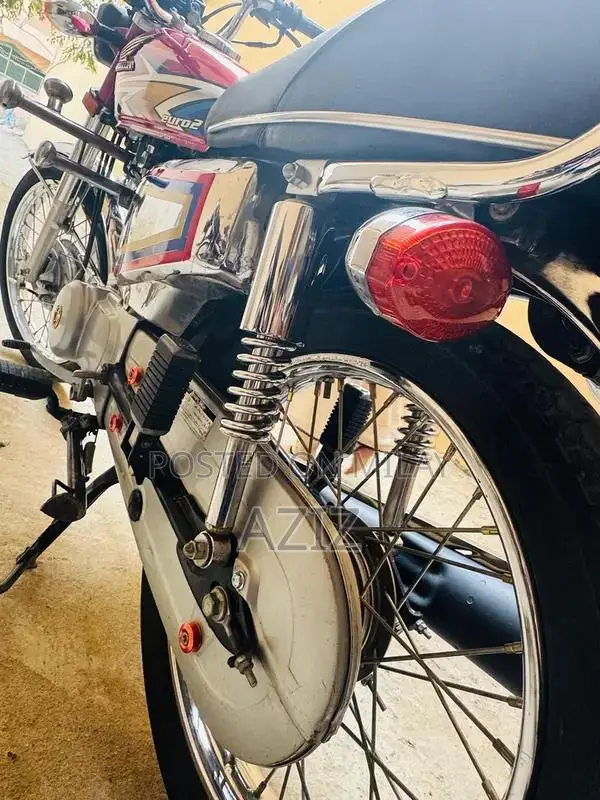 Antique Electric Bike - Untoched 2020 Model