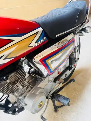 Antique Electric Bike - Untoched 2020 Model