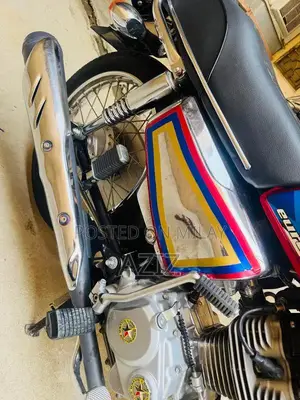 Antique Electric Bike - Untoched 2020 Model