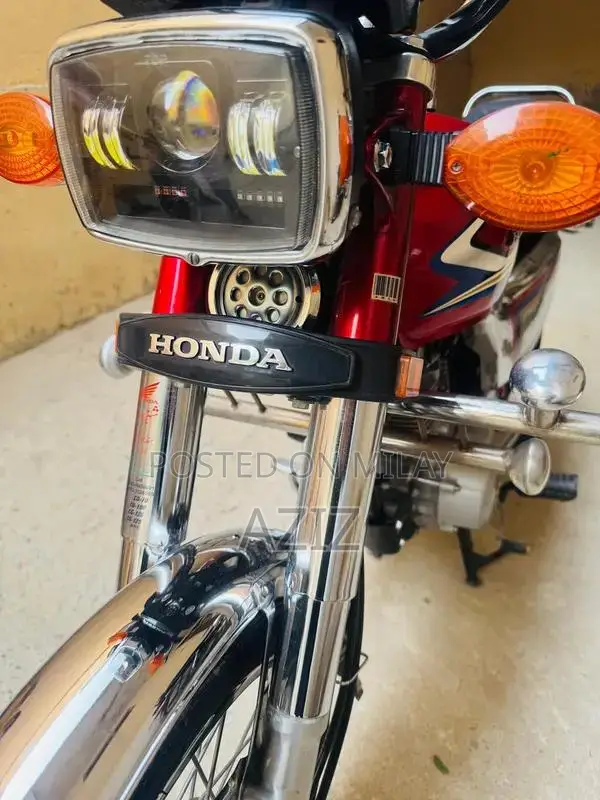 Antique Electric Bike - Untoched 2020 Model