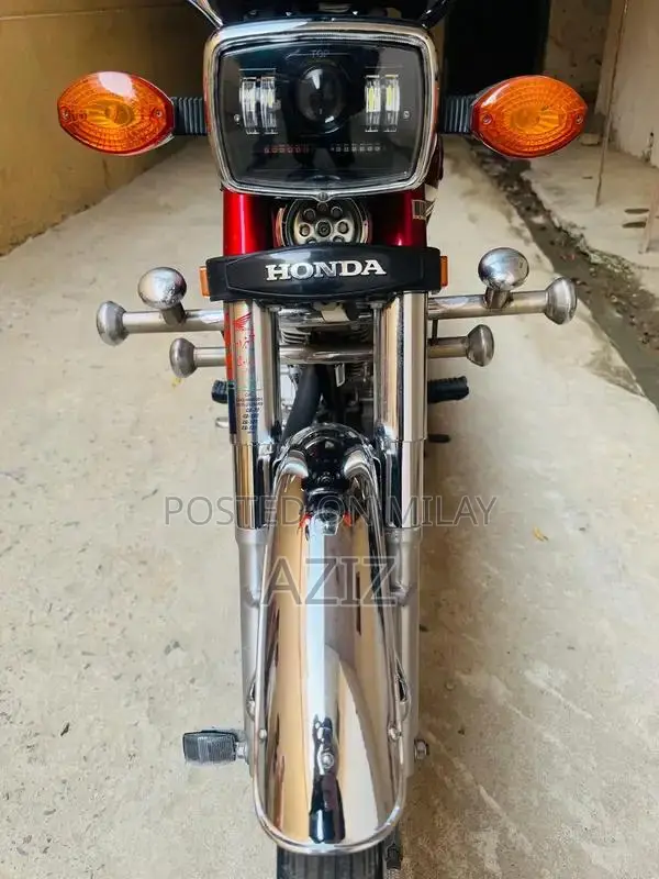 Antique Electric Bike - Untoched 2020 Model