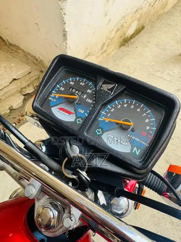 Antique Electric Bike - Untoched 2020 Model