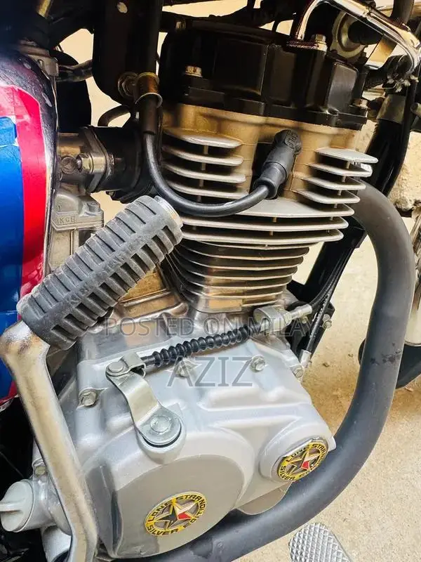 Antique Electric Bike - Untoched 2020 Model