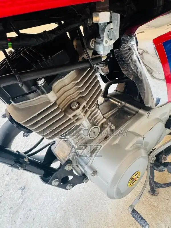 Antique Electric Bike - Untoched 2020 Model