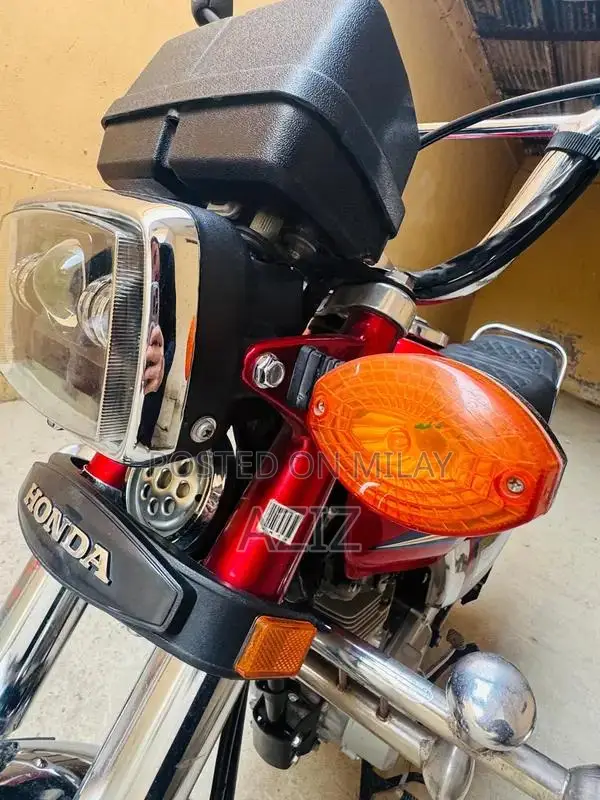 Antique Electric Bike - Untoched 2020 Model