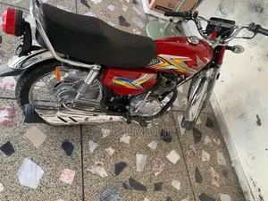 Photo - 2025 Lush Bike - High-Performance Model