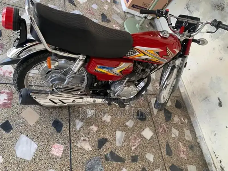 2025 Lush Bike - High-Performance Model