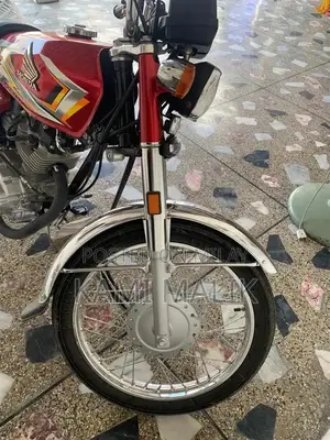 2025 Lush Bike - High-Performance Model