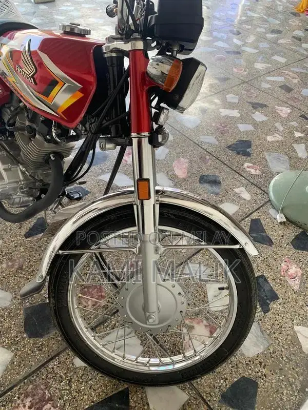 2025 Lush Bike - High-Performance Model