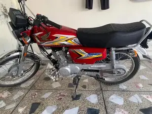 2025 Lush Bike - High-Performance Model