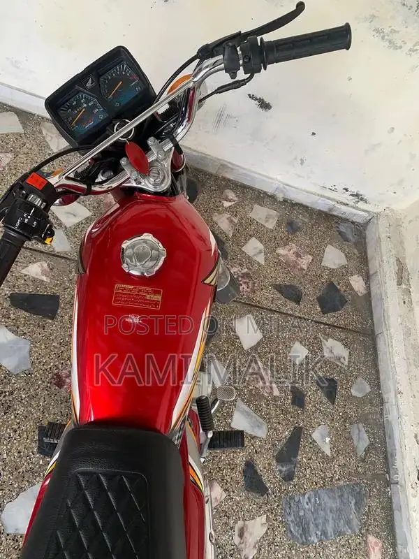 2025 Lush Bike - High-Performance Model