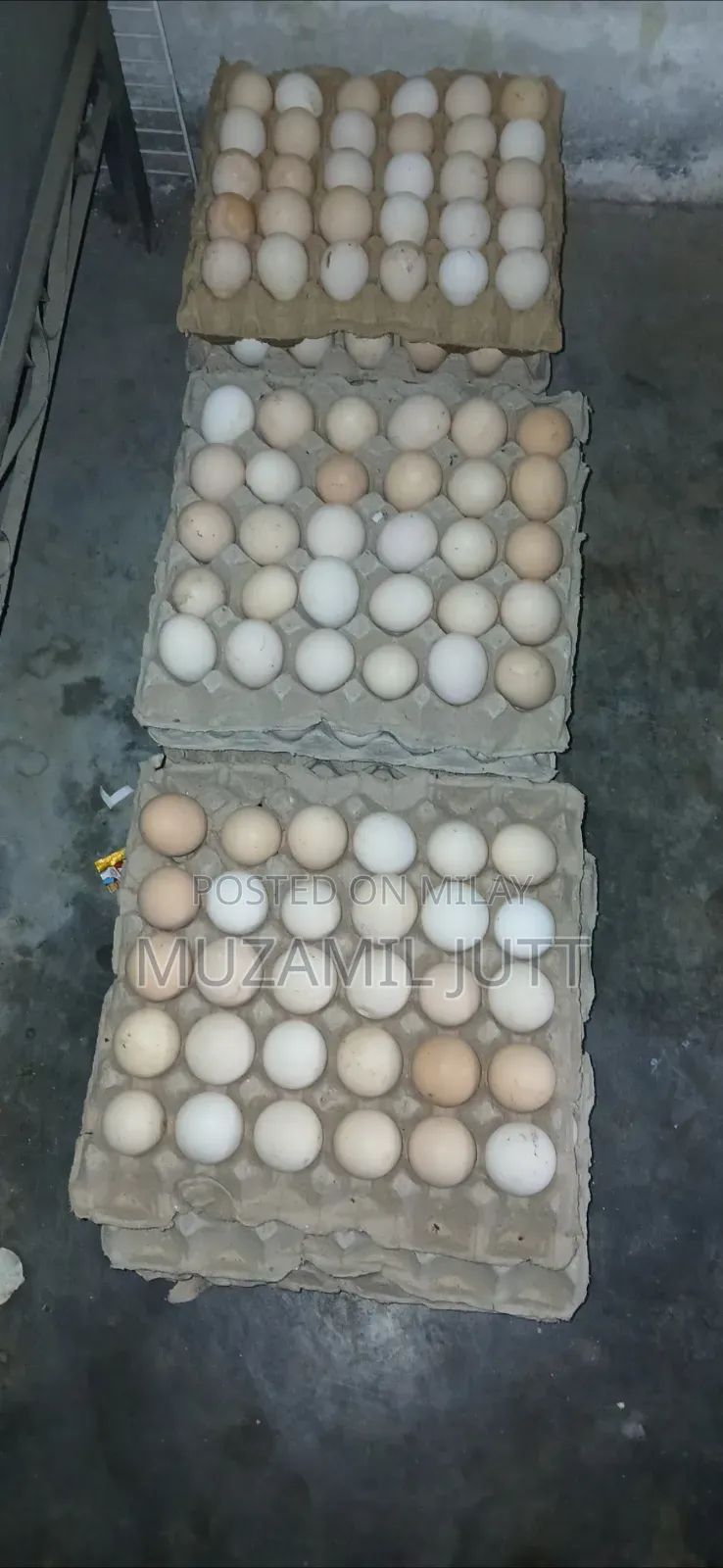 Fresh Desi Egg