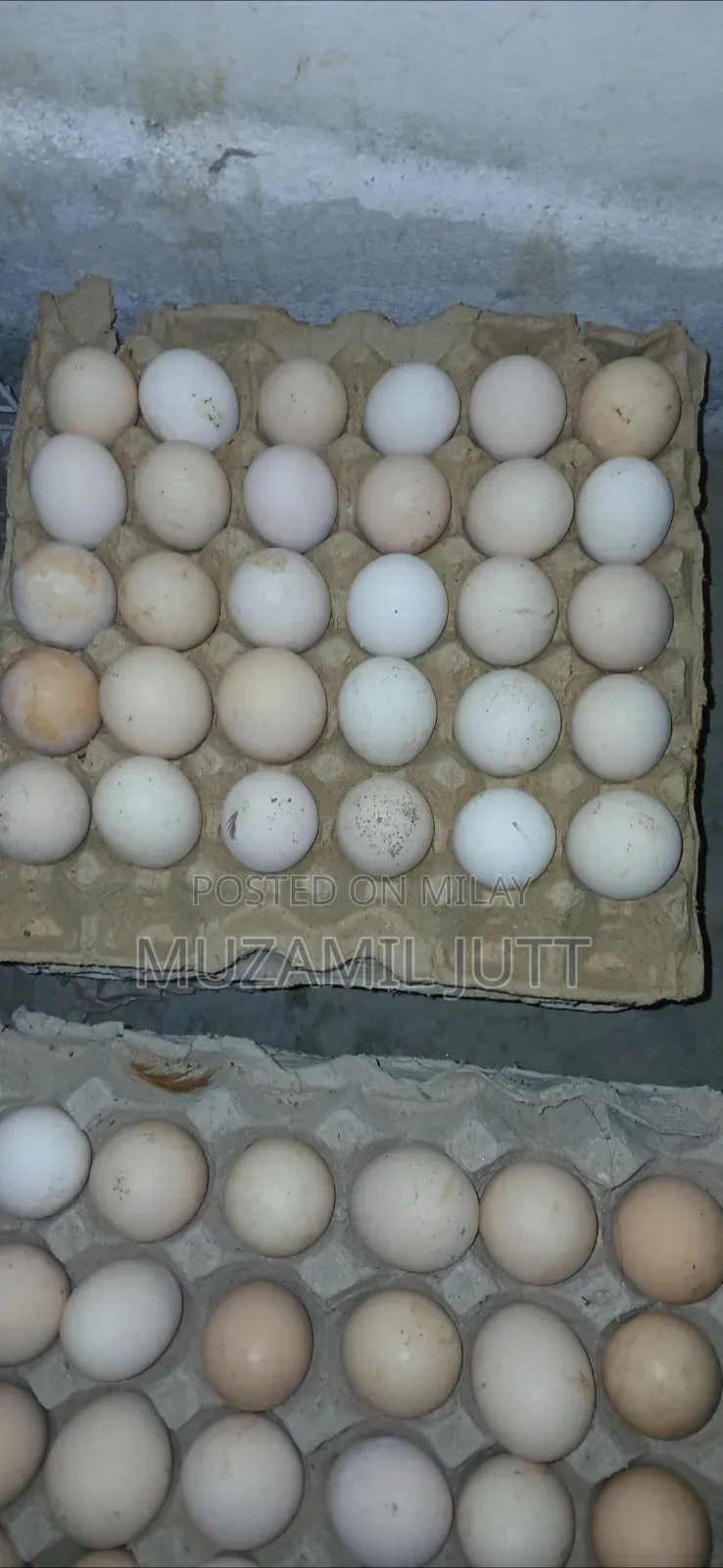 Fresh Desi Egg
