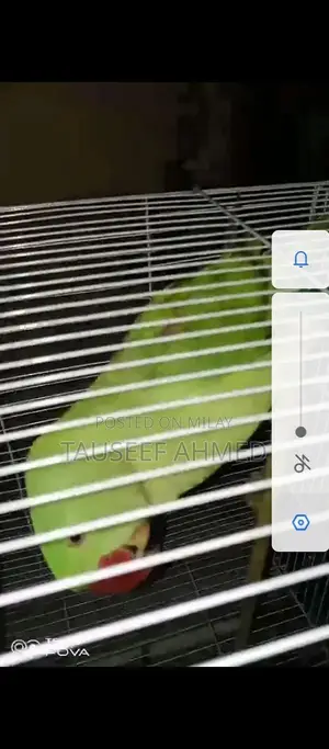 Kashmeeri Traditional Textile Raw Material