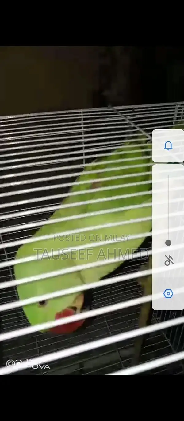 Kashmeeri Traditional Textile Raw Material