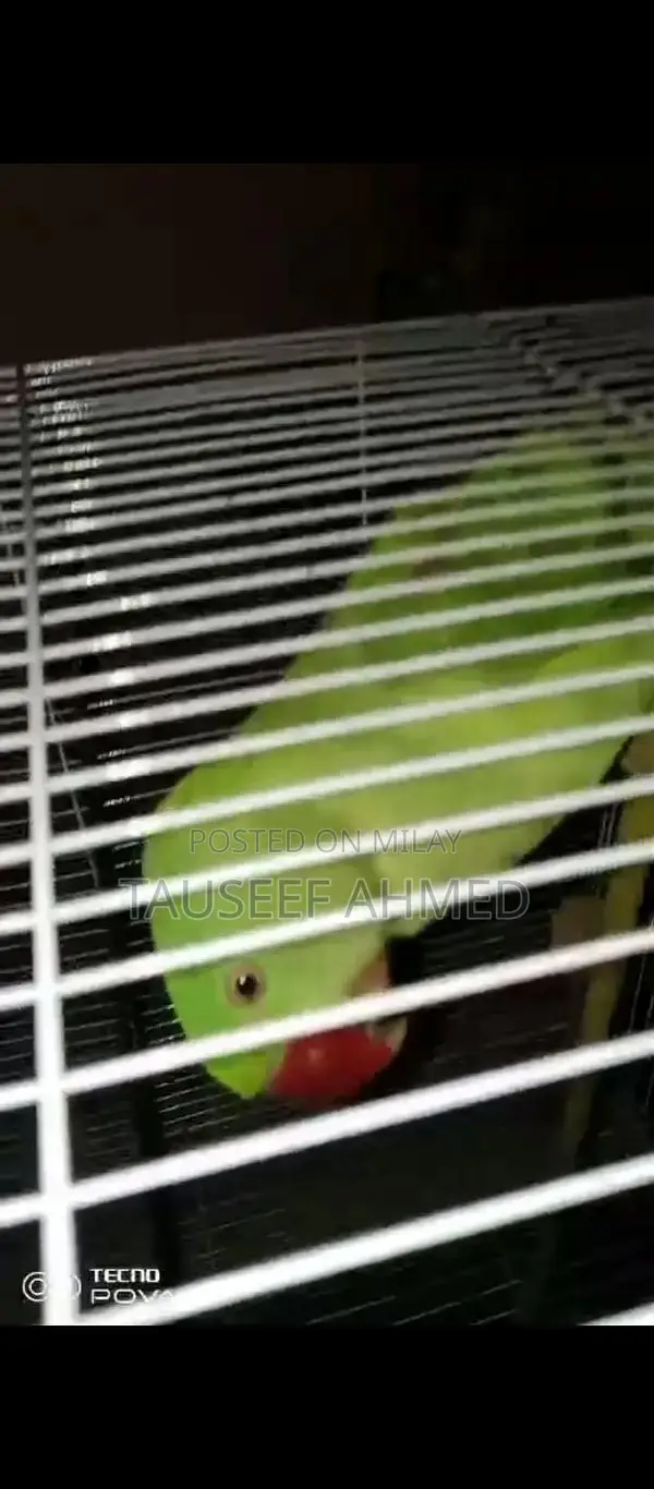 Kashmeeri Traditional Textile Raw Material