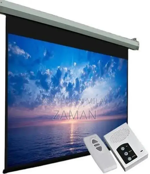 Professional Projector and Projection Screen Systems