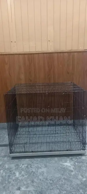 Spacious Raw Parrot Cage - Large 2 Foot Aviary