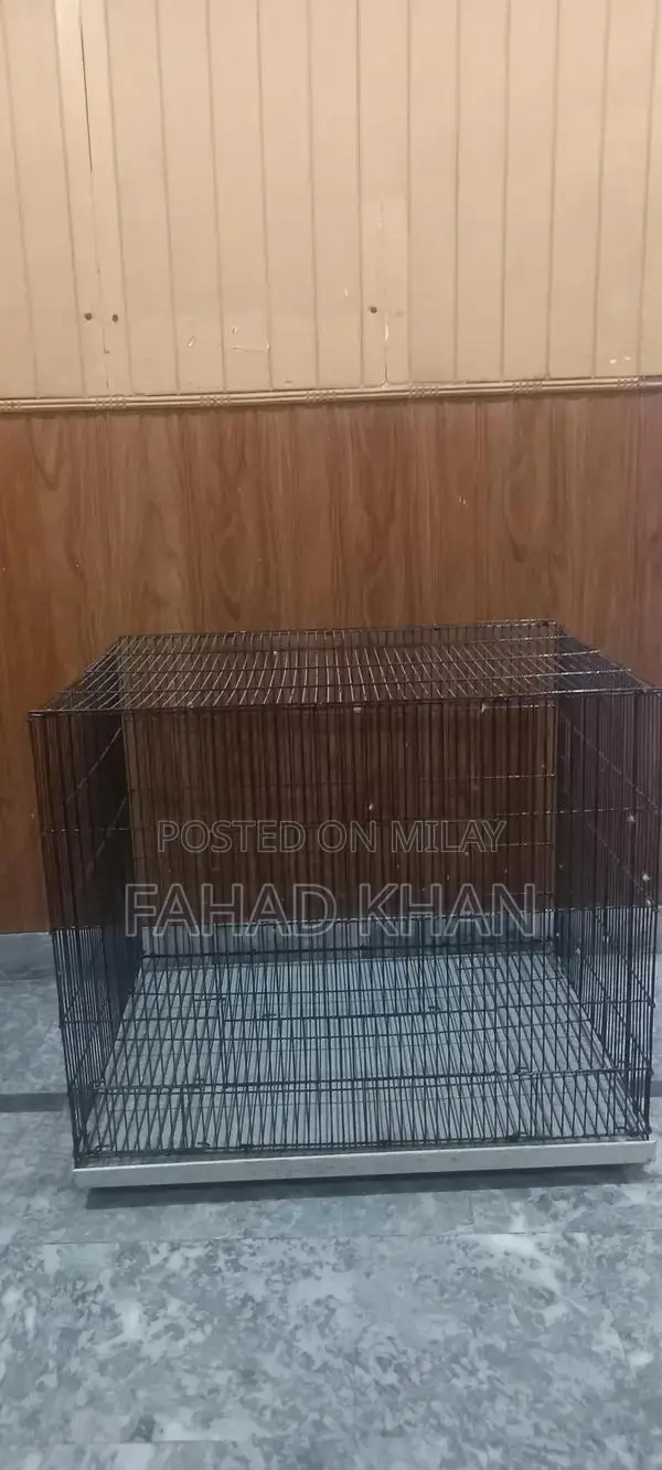 Spacious Raw Parrot Cage - Large 2 Foot Aviary