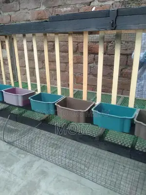 Large Layer Cage for 12-14 Hens - Poultry Housing Solution