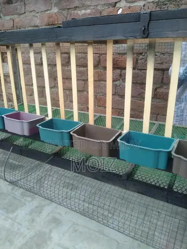 Large Layer Cage for 12-14 Hens - Poultry Housing Solution