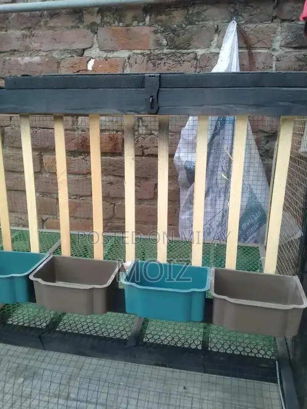 Large Layer Cage for 12-14 Hens - Poultry Housing Solution