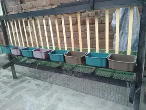 Large Layer Cage for 12-14 Hens - Poultry Housing Solution