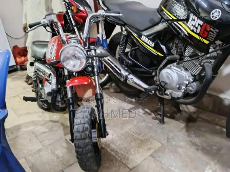 Gorilla Kids Outdoor Bike for Play and Recreation