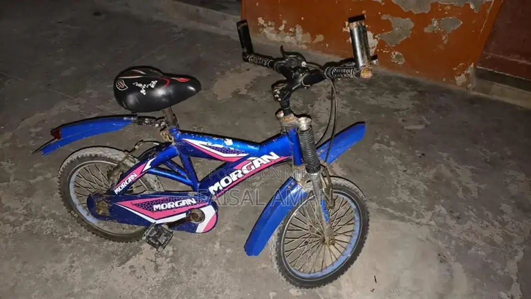 Well-Maintained Bicycle with New Components