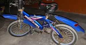 Well-Maintained Bicycle with New Components