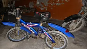 Well-Maintained Bicycle with New Components